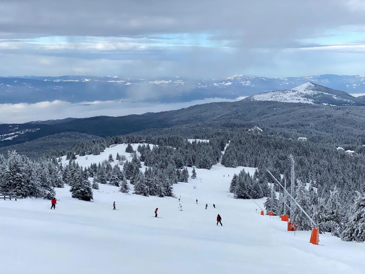 Ski & Spa Apartment S20 Milmari Resort 科帕奥尼克 外观 照片