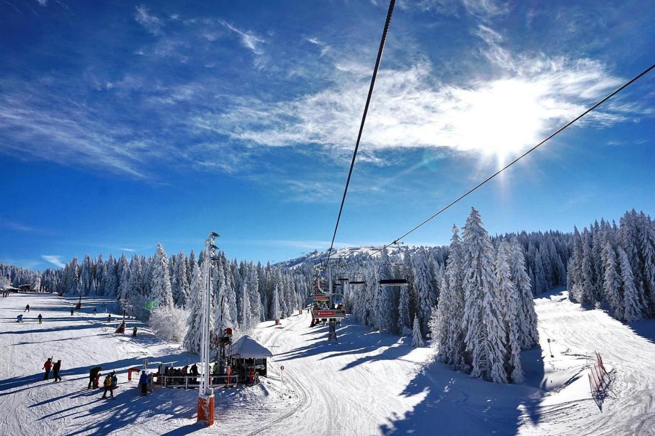 Ski & Spa Apartment S20 Milmari Resort 科帕奥尼克 外观 照片